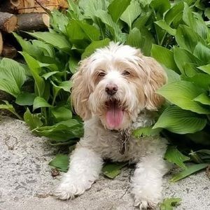 Meet your Posher, Christine